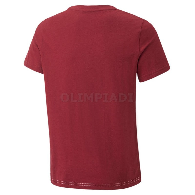T SHIRT ESS COLORBLOCK B JR