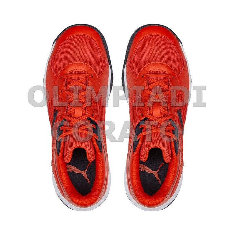 SOLARSMASH RCT CHERRY TOMATO PUMA