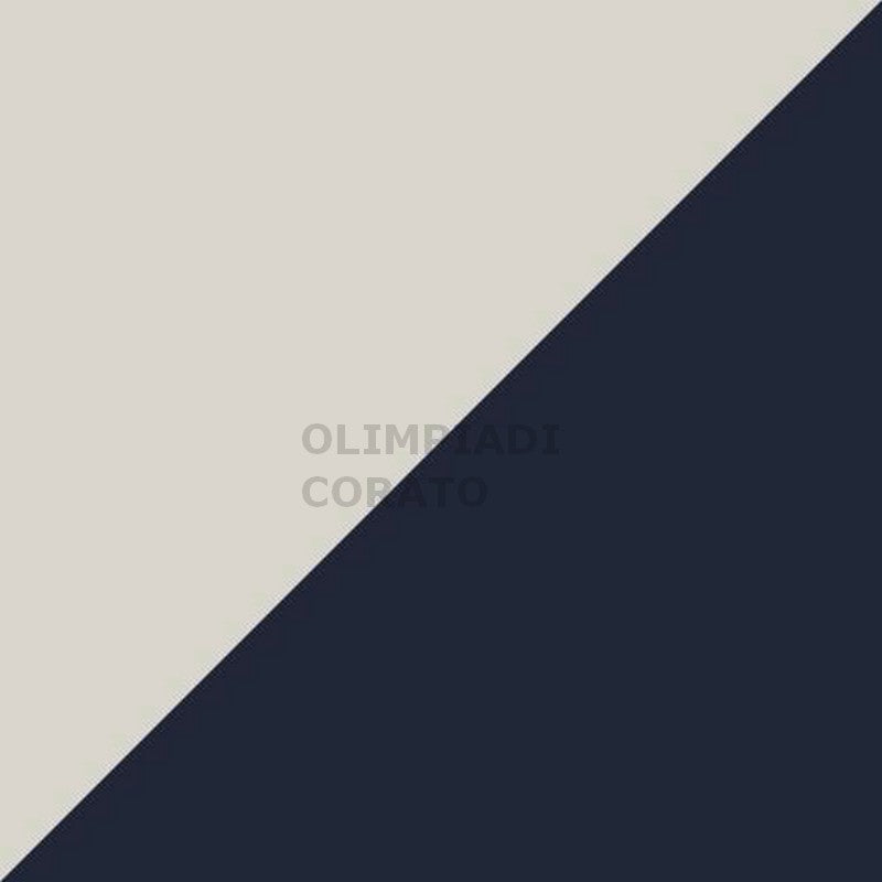 PUMA FUTURE RIDER SPLASH JR