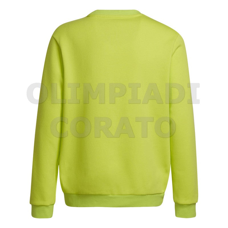 FELPA CREW GIRO ADIDAS JR ENT22