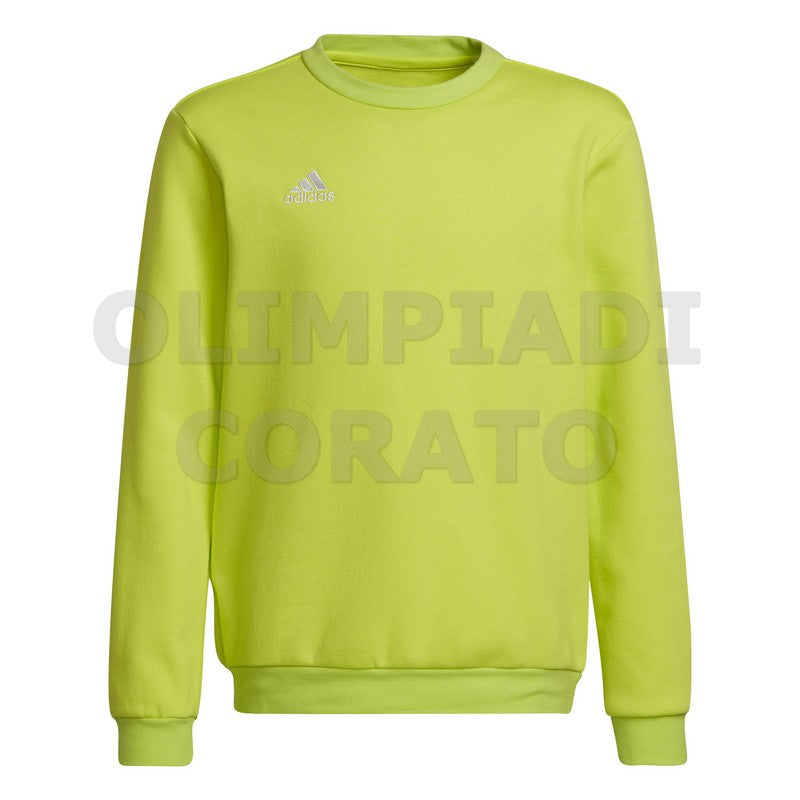 FELPA CREW GIRO ADIDAS JR ENT22