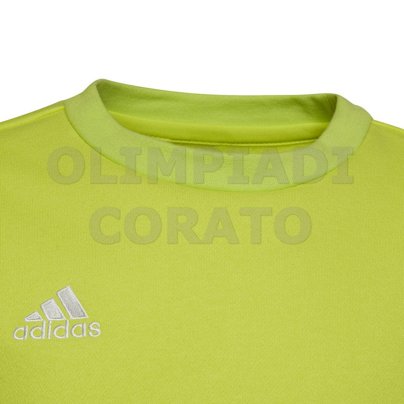 FELPA CREW GIRO ADIDAS JR ENT22