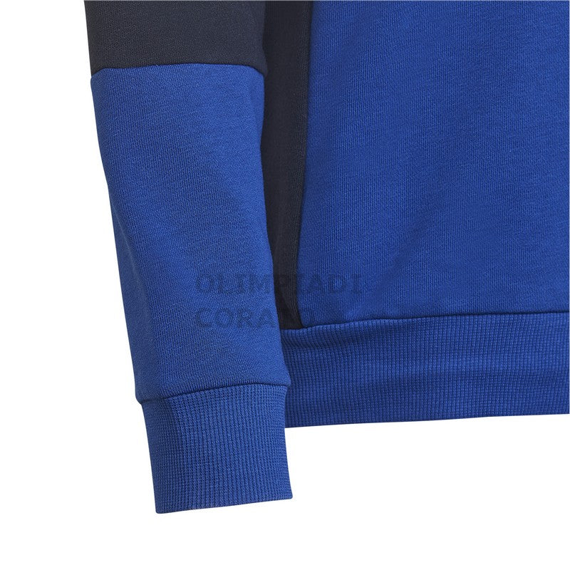FELPA CAPPUCCIO HOODIE WHITE//ROYBLU ADIDAS HG6826