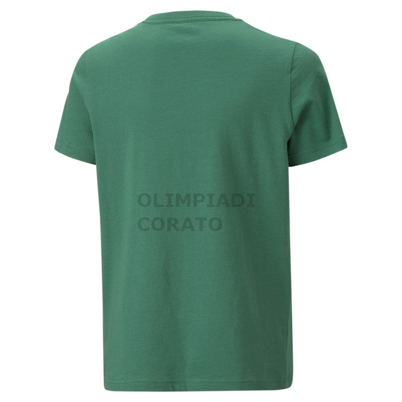 ESS Logo Tee B PUMA 586960-37