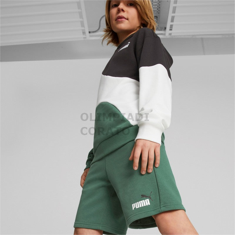 ESS+ 2 Col Shorts PUMA 586989-37