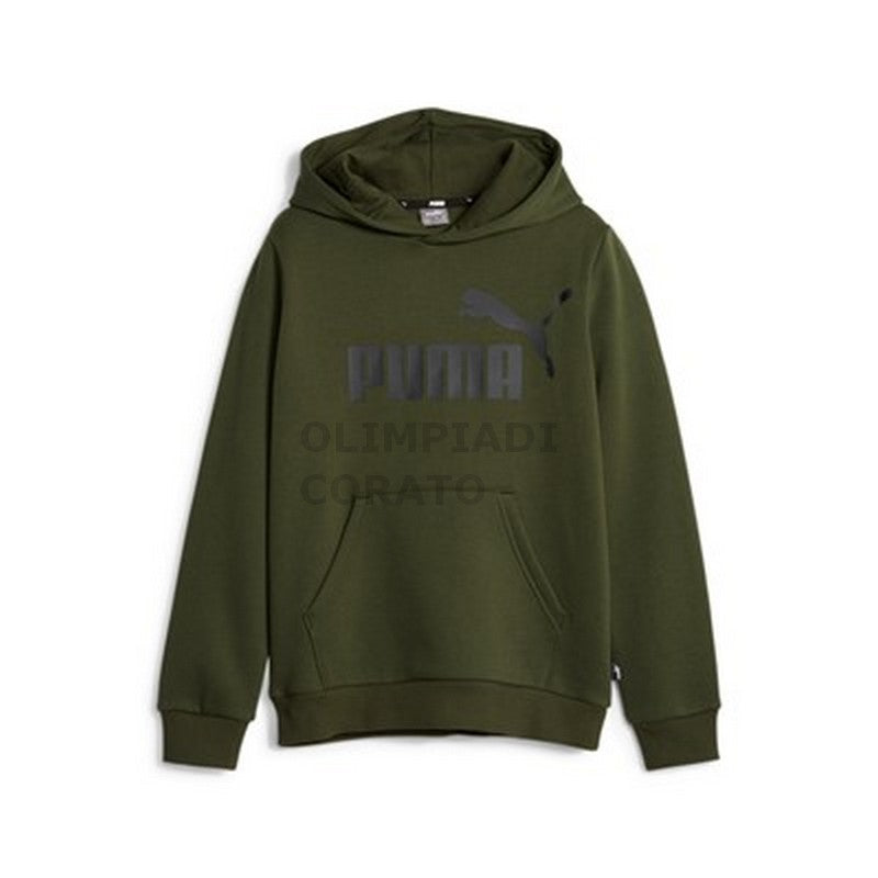 FELPA CAPPUCCIO JUNIOR PUMA 586965-31