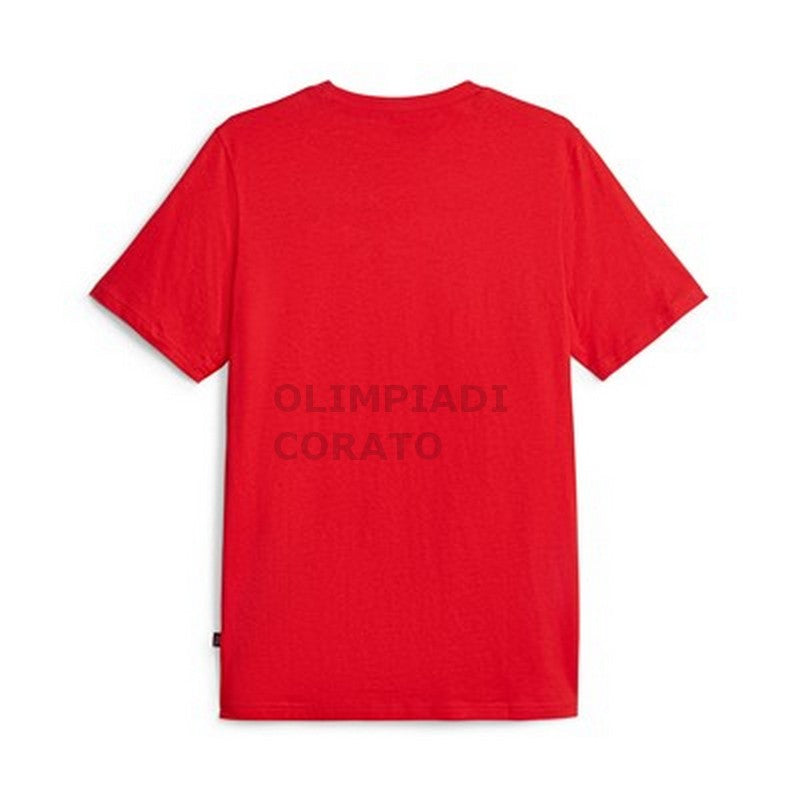 GRAPHICS LOGO T-SHIRT PUMA 677183-11