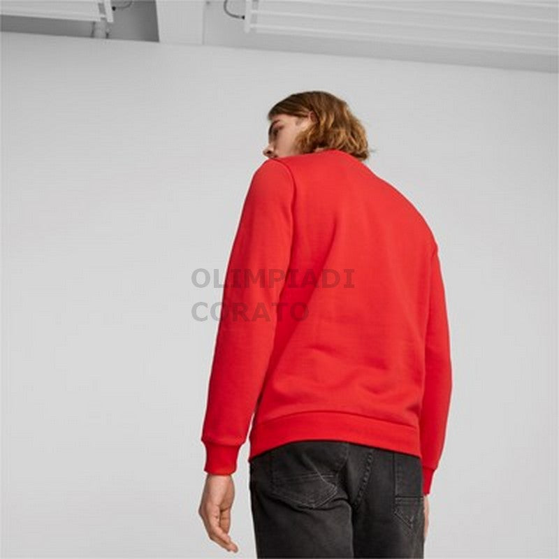 FELPE UOMO PUMA 675918-11