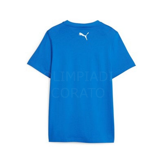 ACTIVE SPORTS GRAPHIC T-SHIRT JUNIOR PUMA 676284-47