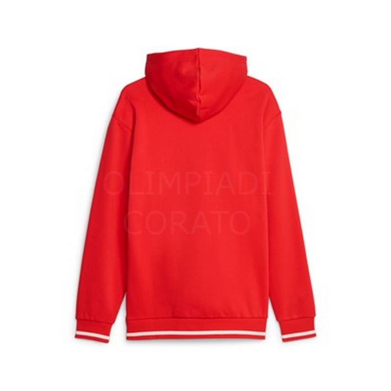 PUMA SQUAD HOODIE FL PUMA 676017-11