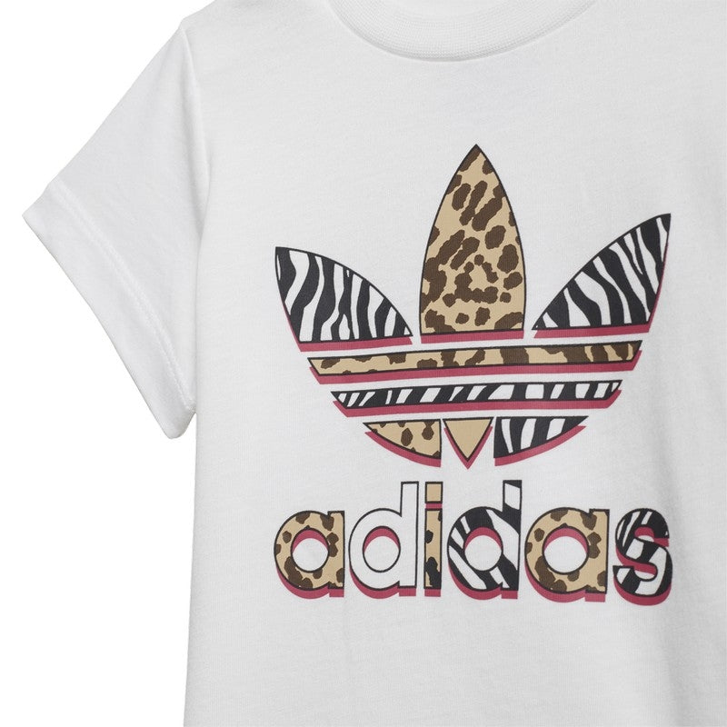 SET INFA ADIDAS
