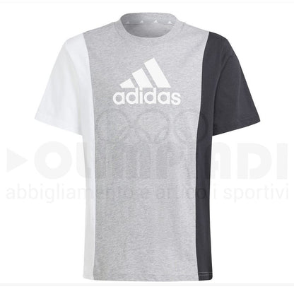 SET ADIDAS JUNIOR COTONE