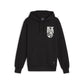 Posterize 2.0 Hoodie PUMA 625248-01