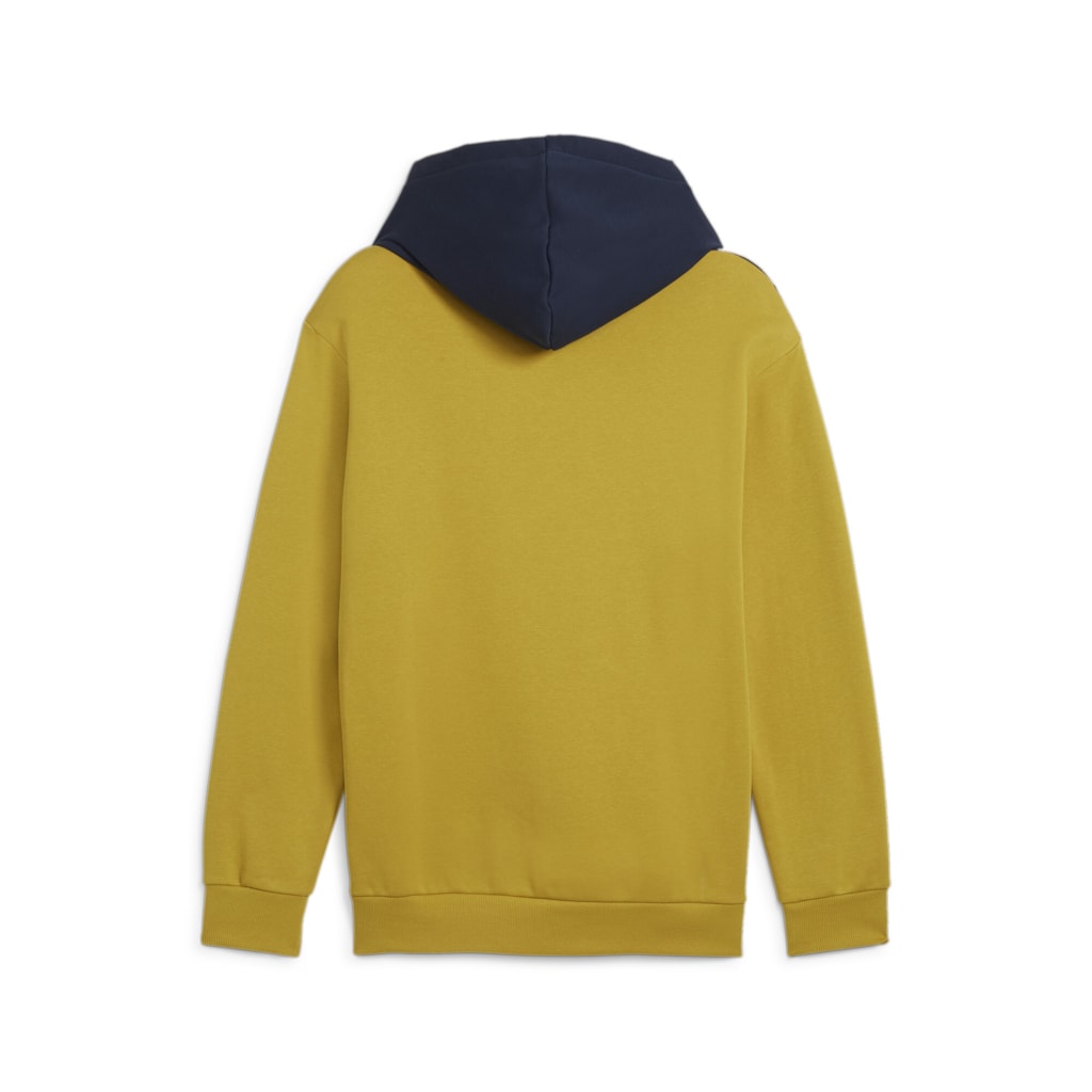 PUMA POWER Colorblock Hoodie FL PUMA 681731-21