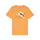 ESS+ LOGO LAB Summer Tee B PUMA 679231-46