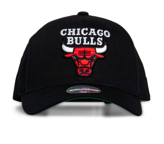 NBA TEAM LOGO CROWN 6 PANEL 110 SNAPBACK - CHICAGO BULLS