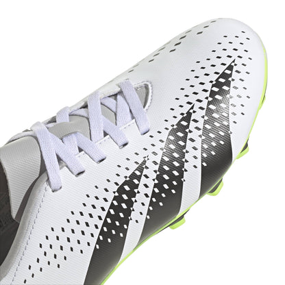 PREDATOR ACCURACY.4 FTWWHT//LUCLEM ADIDAS IE9434