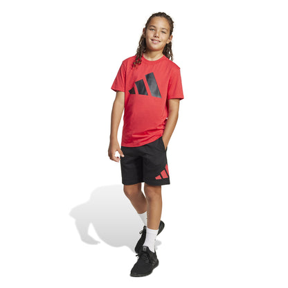 J BL T-SET PURRUB/ ADIDAS JC9716