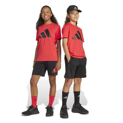 J BL T-SET PURRUB/ ADIDAS JC9716