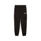 ESS No. 1 Logo Cargo Pants FL B PUMA 684924-01