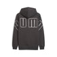 MAXIMAL METALLIC Hoodie FL PUMA 634454-44