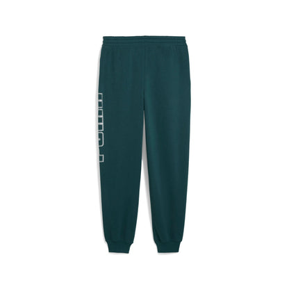 MAXIMAL METALLIC Sweatpants FL PUMA 634456-75