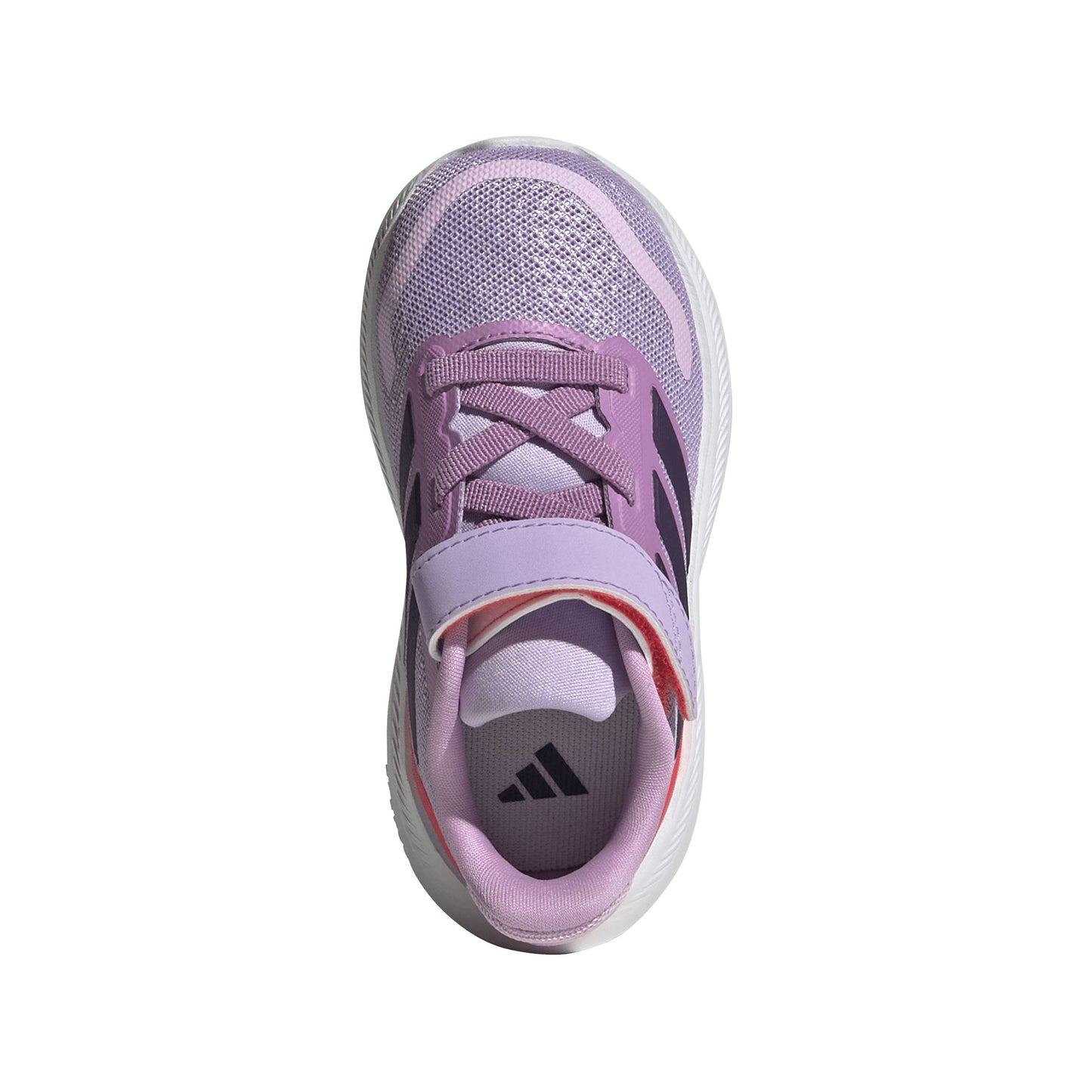 Scarpe Primi Passi Adidas Runfalcon 5 EL I Infant Viola JQ5669