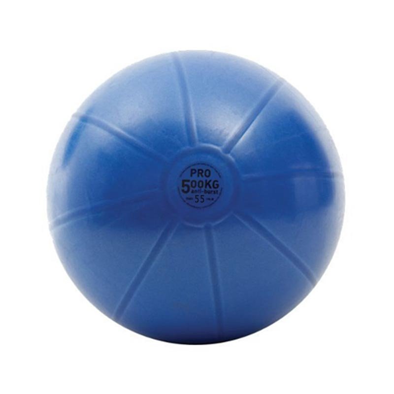 Gym Ball Pro Toorx ø 55 cm Blu - AHF-147 | Palla Svizzera Antiscoppio