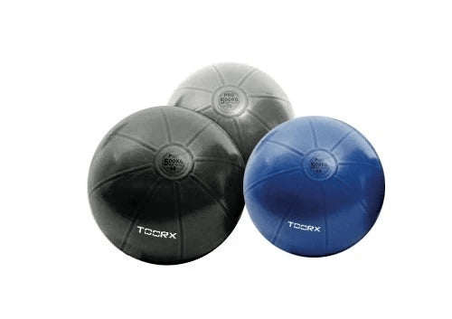 Gym Ball Pro Toorx ø 55 cm Blu - AHF-147 | Palla Svizzera Antiscoppio