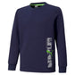 FELPA ACTIVE SPORT PUMA