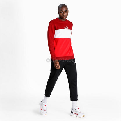 FELPA CREW COLORBLOCK  PUMA