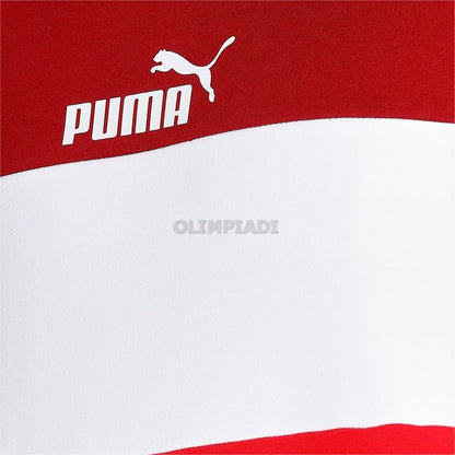 FELPA CREW COLORBLOCK  PUMA