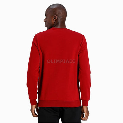 FELPA CREW COLORBLOCK  PUMA