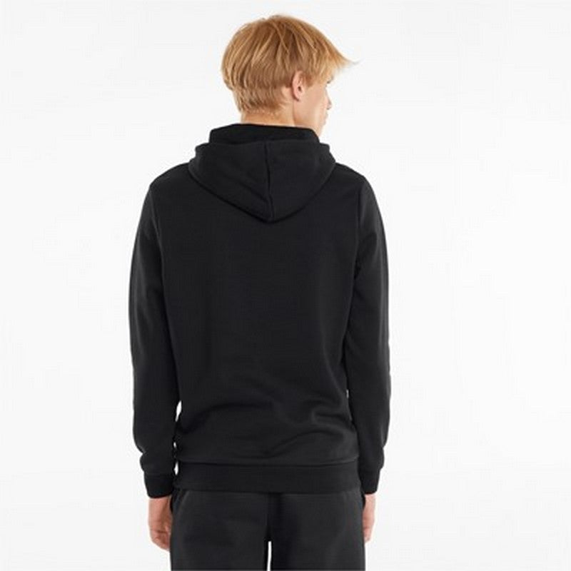 FELPA C/C ESS+ COORBLOCK PUMA