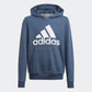 ADIDAS FELPA CAPPUCCIO JR