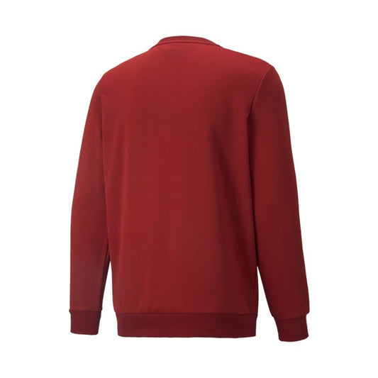 FELPA CREW ESSENTIALS+ 2 PUMA