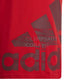 T SHIRT BIG LOGO ADIDAS JR