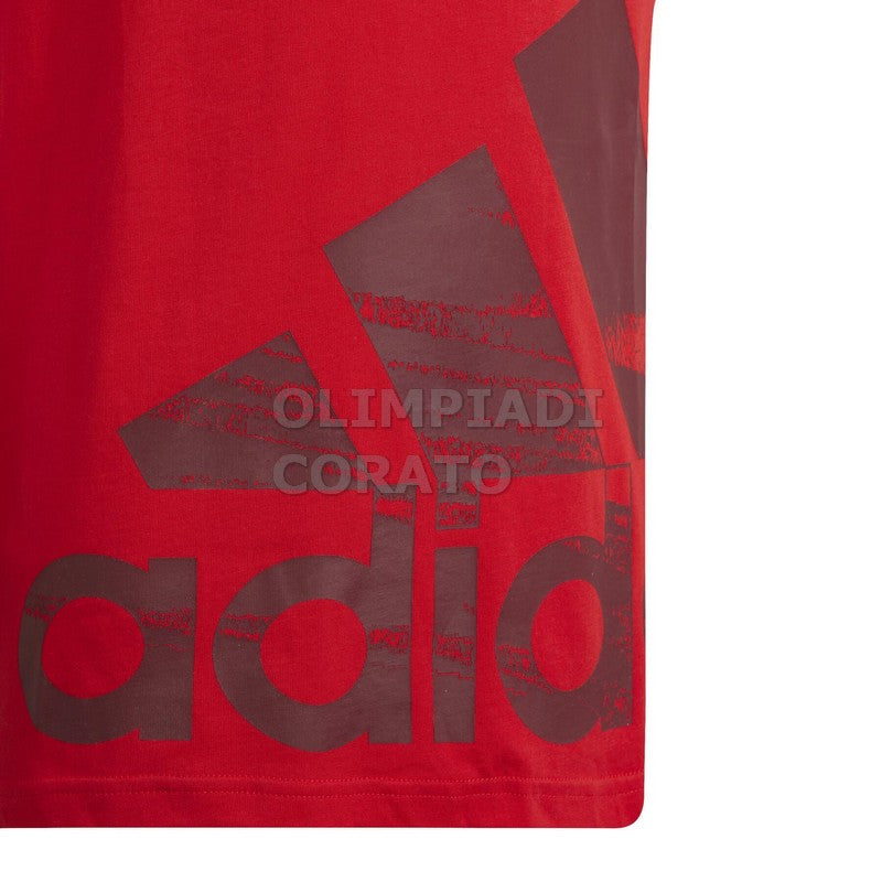 T SHIRT BIG LOGO ADIDAS JR