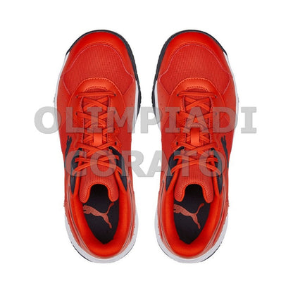 SOLARSMASH RCT CHERRY TOMATO PUMA