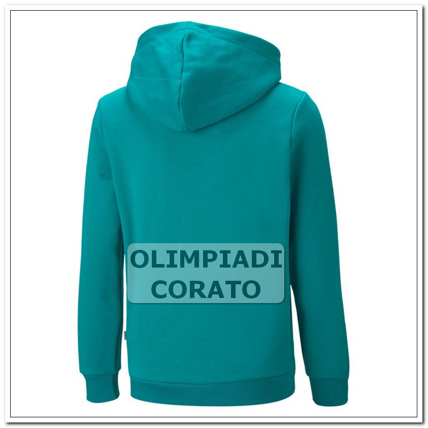 FELPA CAPPUCCIO PUMA JR TURCHESE