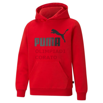 FELPA C/C ESSENTIALS BIG LOGO PUMA JR