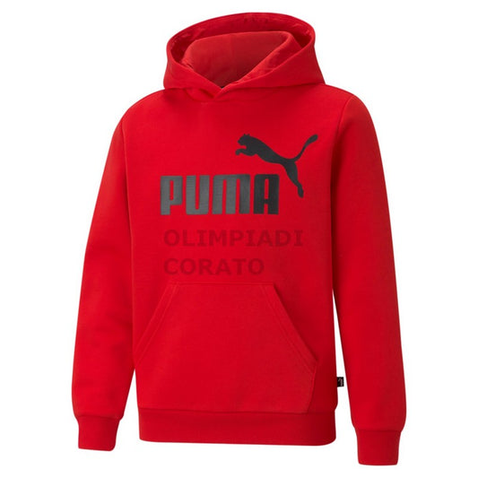 FELPA C/C ESSENTIALS BIG LOGO PUMA JR