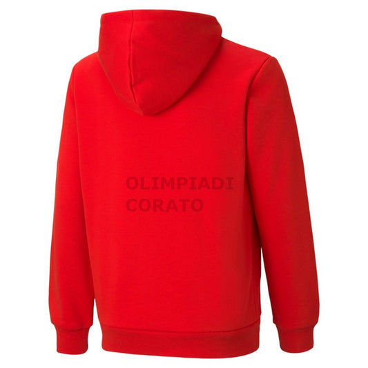 FELPA C/C ESSENTIALS BIG LOGO PUMA JR
