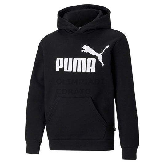 FELPA C/C ESSENTIALS BIG LOGO PUMA JR