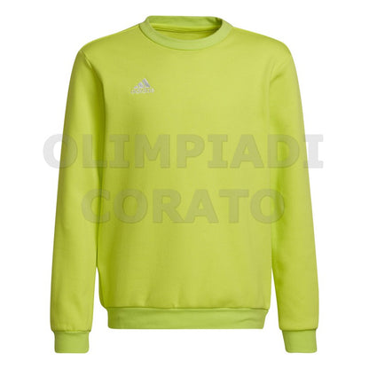 FELPA CREW GIRO ADIDAS JR ENT22