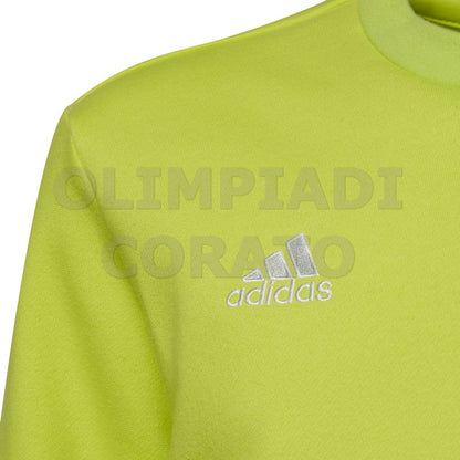 FELPA CREW GIRO ADIDAS JR ENT22