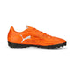 RAPIDO III TT PUMA