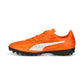 RAPIDO III TT PUMA