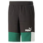 SHORTS TR PUMA 847429-37