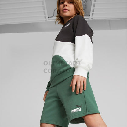 ESS+ 2 Col Shorts PUMA 586989-37